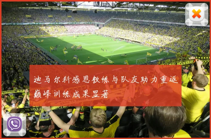 迪马尔科感恩教练与队友助力重返巅峰训练成果显著