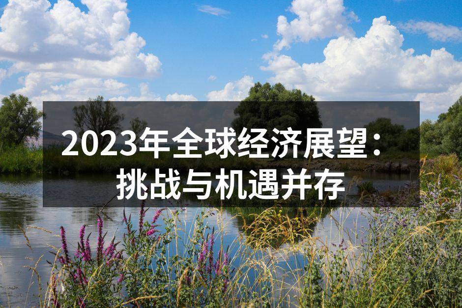 2023年全球经济展望：挑战与机遇并存