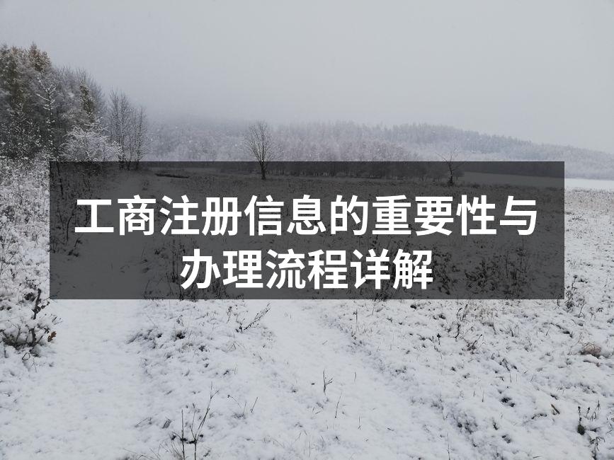 工商注册流程示意图