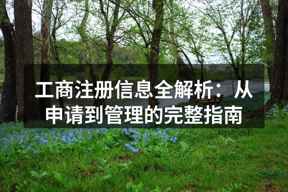 工商注册信息全解析：从申请到管理的完整指南
