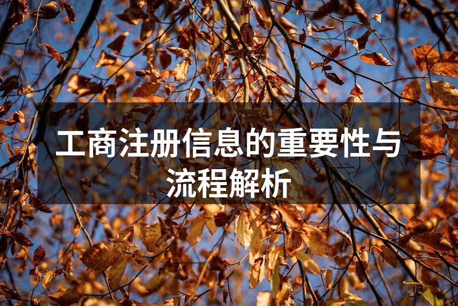 工商注册信息的重要性与流程解析