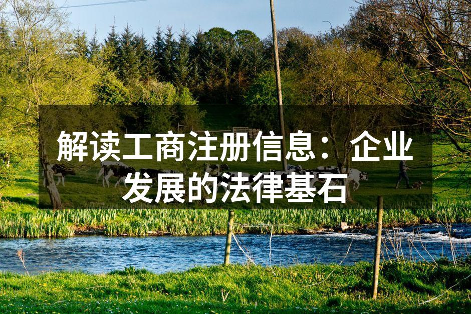 解读工商注册信息：企业发展的法律基石