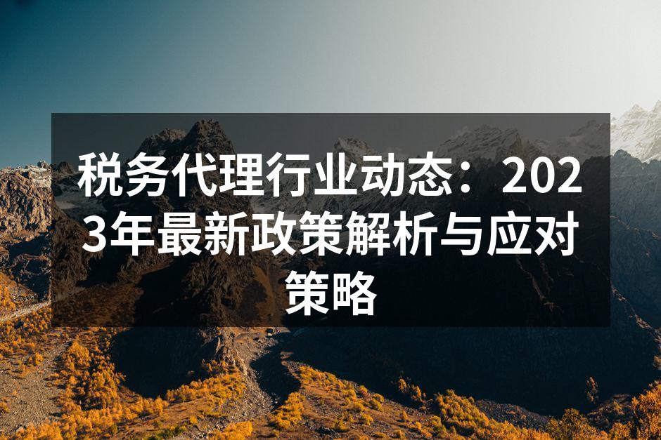 税务代理行业动态：2023年最新政策解析与应对策略