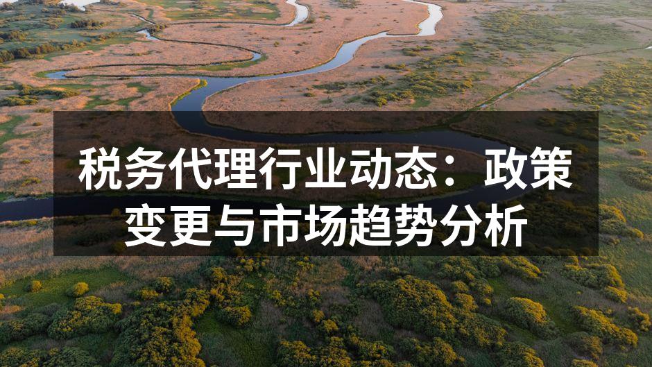 税务代理行业动态：政策变更与市场趋势分析