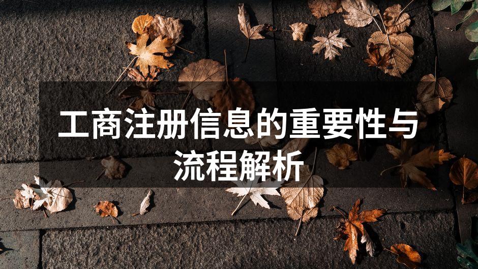 工商注册信息的重要性与流程解析